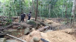 Aktivitas Tambang Ilegal Marak di Tahura Bukit Menumbing, Kelestarian Hutan Konservasi Terancam