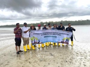 PT Timah Tanam Ribuan Mangrove di Belitung, Perkuat Ketahanan Pesisir dan Ekonomi Nelayan