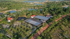 PT TIMAH Tbk Jalankan Reklamasi dan Mangrove, Seimbangkan Tambang dan Lingkungan