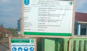 IMG-20251013-WA0008-768x545-1