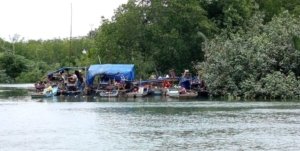 Tambang Timah Ilegal Sungai Manggar Terkuak, Nama Bos Roki dan Oknum Polisi Mencuat