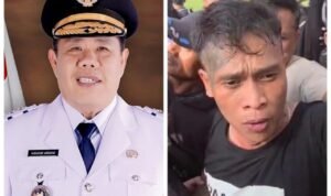 WhatsApp Image 2025-12-08 at 09.39.54