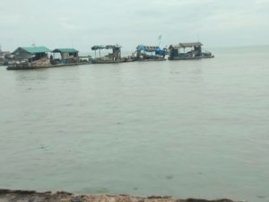 TNI AL Tak Main-Main: Lima Ponton Liar Ditangkap di Pantai Asmara, Negara Turun Tangan Selamatkan Laut Bangka Barat
