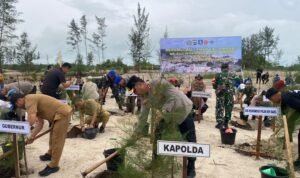 WhatsApp Image 2025-12-30 at 15.26.38 (1)