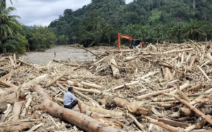 Menhut Raja Juli Sebut Kerusakan DAS dan Cuaca Ekstrem Jadi Penyebab Banjir Besar di Sumatera