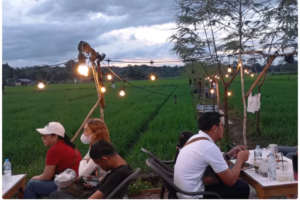 Pesona Sawah Namang Mencuat: Oase Hijau yang Jadi Ikon Wisata Baru Bangka Tengah
