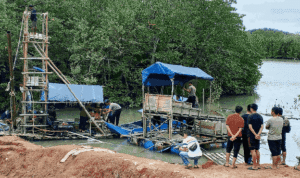 1767286984196995-0_11zon