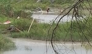 WhatsApp Image 2026-01-14 at 08.12.22 (1)