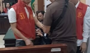 WhatsApp Image 2026-01-14 at 08.48.35