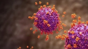 Super Flu Ditemukan di Sumsel dan 7 Provinsi Lain, Bangka Belitung Diminta Tetap Siaga