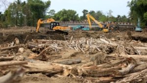 Alih Fungsi Hutan Disorot, 12 Korporasi Diduga Jadi Penyebab Bencana di Sumatera