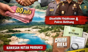 task_01kee9c9a7ed4tbfrqjqc9pq82_1767858681_img_0