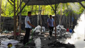 Gudang Peleburan Timah Ilegal di Batu Rusa Digerebek, Polisi Sita 300 Kg Balok Timah dan Tahan Pemiliknya