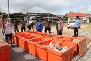 Polisi Gagalkan Penyelundupan 10 Ton Timah Senilai Rp5 Miliar di Pelabuhan Tanjung Kalian