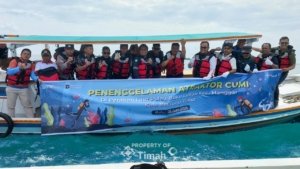 PT TIMAH Perkuat Ekosistem Laut Belitung Timur, Atraktor Cumi Ditenggelamkan Bersama Terumbu Buatan 2025