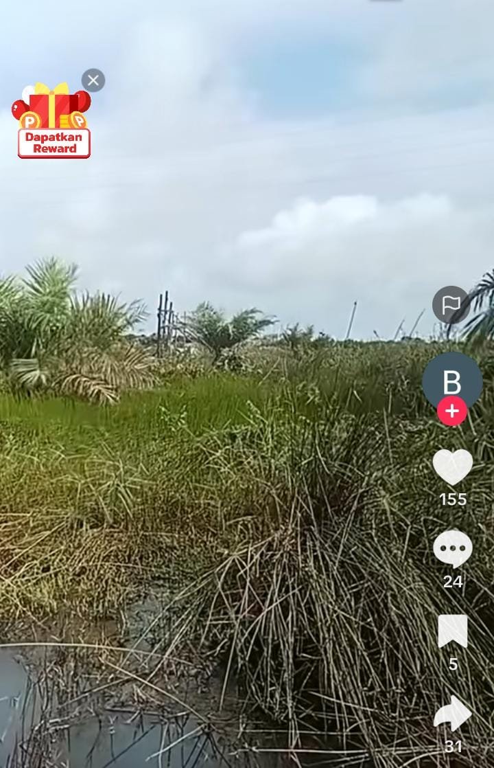 KBOBABEL.COM (KOBA, BANGKA TENGAH) – Tudingan dugaan aktivitas tambang ilegal di kawasan Merbuk, wilayah IUP milik PT Timah Tbk, kian memanas. Pemberitaan berjudul “Diduga Penambangan Ilegal Kembali Berkeliaran di Lokasi Merbuk, Kawasan IUP PT Timah” dan unggahan akun "tiktok Budi SM" yang sempat beredar luas, kini mendapat bantahan keras dari pihak yang disebut dalam narasi tersebut. Jumat (13/2/2028).