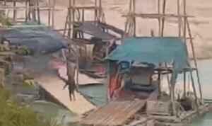 IMG-20260213-WA0610 KBOBABEL.COM (PANGKALPINANG) – Di tengah klaim keberhasilan penegakan hukum oleh Satgas Tricakti yang belakangan gencar menindak peredaran timah basa dan balok, ironi justru mencuat dari kawasan hutan lindung di Desa Nadi, Kabupaten Bangka Tengah. Jumat (13/2/2026). Aktivitas tambang ilegal di wilayah tersebut dilaporkan tetap berjalan tanpa hambatan, seakan hukum tak lagi memiliki daya cegah. Deru mesin ponton tambang inkonvensional (TI) terdengar siang dan malam. Lubang-lubang besar menganga membelah kawasan hutan lindung yang seharusnya menjadi benteng terakhir keanekaragaman hayati dan penyangga kehidupan masyarakat sekitar. Kerusakan ekologis kian nyata, sementara penindakan tak kunjung terlihat. Sejumlah sumber di lapangan menyebut aktivitas pertambangan ilegal itu berlangsung secara terorganisir dan sistematis. Bukan sekadar kerja sporadis masyarakat, melainkan diduga melibatkan jaringan yang lebih besar. Bahkan, mencuat dugaan keterlibatan dua oknum aparat dari kesatuan Denpom Pangkalpinang berinisial RMD dan NYMN yang disebut-sebut membekingi aktivitas tersebut. “Ponton bekerja tanpa rasa takut. Seolah-olah ada yang menjamin keamanan mereka. Kalau rakyat kecil yang kerja, cepat sekali aparat turun. Tapi ini berbeda,” ujar seorang warga Desa Nadi yang meminta identitasnya dirahasiakan. Keberanian para penambang ilegal beroperasi terang-terangan memunculkan tanda tanya besar di tengah masyarakat. Di mana peran Satgas Tricakti? Bagaimana fungsi pengawasan PKH serta Balai Gakkum KLHK Wilayah Bangka Belitung dijalankan? Publik menilai, jika benar terjadi pembiaran, maka itu bukan sekadar kelalaian, melainkan indikasi lemahnya sistem pengawasan dan penegakan hukum. Keheningan aparat justru mempertebal kecurigaan bahwa ada sesuatu yang tak beres. Padahal, kawasan hutan lindung memiliki fungsi vital sebagai penyangga tata air dan pencegah bencana. Hutan yang gundul bukan hanya menyisakan lanskap rusak, tetapi juga membuka pintu bagi ancaman longsor, banjir bandang, hingga krisis air bersih. Jika eksploitasi terus dibiarkan, masyarakat sekitar yang pertama akan menanggung dampaknya. Tak berhenti pada isu pembiaran, warga juga mempertanyakan alur distribusi hasil tambang ilegal tersebut. Ke mana timah itu dijual? Siapa yang membeli? Apakah ada pihak tertentu yang menyerap hasil tambang dari luar wilayah izin usaha pertambangan (IUP)? “Kalau memang timah itu keluar dari kawasan hutan lindung, pasti ada penadahnya. Tidak mungkin barang sebanyak itu hilang begitu saja,” ujar seorang tokoh masyarakat setempat. Jika benar ada perusahaan atau pihak tertentu yang menerima timah dari luar IUP, maka persoalan ini berpotensi menjadi pelanggaran serius terhadap regulasi pertambangan dan kehutanan yang berlaku. Pengawasan terhadap rantai distribusi timah pun menjadi sorotan. Masyarakat Desa Nadi mendesak agar Satgas Tricakti, PKH, dan Balai Gakkum KLHK Wilayah Bangka Belitung segera mengambil langkah tegas dan transparan. Penindakan, menurut mereka, tidak boleh berhenti pada pekerja lapangan. Aktor intelektual, makelar, hingga oknum aparat yang diduga terlibat harus diproses sesuai hukum. “Kalau benar ada oknum aparat terlibat, harus dibuka secara terang. Jangan sampai hukum tajam ke bawah, tumpul ke atas,” tegas warga lainnya. Hingga berita ini dipublikasikan, jejaring media KBO Babel masih berupaya melakukan konfirmasi kepada Komandan Denpom Pangkalpinang Letkol CPM Rivan terkait dugaan keterlibatan oknum anggotanya dalam aktivitas tambang ilegal di kawasan hutan lindung Desa Nadi. Publik kini menunggu langkah konkret aparat penegak hukum. Apakah penindakan akan dilakukan secara menyeluruh dan tanpa pandang bulu, atau justru kawasan hutan lindung Desa Nadi akan menjadi simbol kegagalan pengawasan dan penegakan hukum di Bangka Belitung? Waktu terus berjalan. Sementara kerusakan kian meluas, kepercayaan publik terhadap aparat dipertaruhkan. Setiap hari yang berlalu tanpa tindakan berarti satu langkah lebih dekat menuju kehancuran ekologis yang mungkin tak lagi bisa dipulihkan. (KBO Babel)