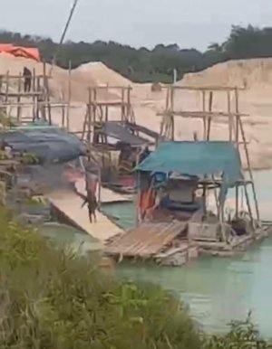 KBOBABEL.COM (PANGKALPINANG) – Di tengah klaim keberhasilan penegakan hukum oleh Satgas Tricakti yang belakangan gencar menindak peredaran timah basa dan balok, ironi justru mencuat dari kawasan hutan lindung di Desa Nadi, Kabupaten Bangka Tengah. Jumat (13/2/2026). Aktivitas tambang ilegal di wilayah tersebut dilaporkan tetap berjalan tanpa hambatan, seakan hukum tak lagi memiliki daya cegah. Deru mesin ponton tambang inkonvensional (TI) terdengar siang dan malam. Lubang-lubang besar menganga membelah kawasan hutan lindung yang seharusnya menjadi benteng terakhir keanekaragaman hayati dan penyangga kehidupan masyarakat sekitar. Kerusakan ekologis kian nyata, sementara penindakan tak kunjung terlihat. Sejumlah sumber di lapangan menyebut aktivitas pertambangan ilegal itu berlangsung secara terorganisir dan sistematis. Bukan sekadar kerja sporadis masyarakat, melainkan diduga melibatkan jaringan yang lebih besar. Bahkan, mencuat dugaan keterlibatan dua oknum aparat dari kesatuan Denpom Pangkalpinang berinisial RMD dan NYMN yang disebut-sebut membekingi aktivitas tersebut. “Ponton bekerja tanpa rasa takut. Seolah-olah ada yang menjamin keamanan mereka. Kalau rakyat kecil yang kerja, cepat sekali aparat turun. Tapi ini berbeda,” ujar seorang warga Desa Nadi yang meminta identitasnya dirahasiakan. Keberanian para penambang ilegal beroperasi terang-terangan memunculkan tanda tanya besar di tengah masyarakat. Di mana peran Satgas Tricakti? Bagaimana fungsi pengawasan PKH serta Balai Gakkum KLHK Wilayah Bangka Belitung dijalankan? Publik menilai, jika benar terjadi pembiaran, maka itu bukan sekadar kelalaian, melainkan indikasi lemahnya sistem pengawasan dan penegakan hukum. Keheningan aparat justru mempertebal kecurigaan bahwa ada sesuatu yang tak beres. Padahal, kawasan hutan lindung memiliki fungsi vital sebagai penyangga tata air dan pencegah bencana. Hutan yang gundul bukan hanya menyisakan lanskap rusak, tetapi juga membuka pintu bagi ancaman longsor, banjir bandang, hingga krisis air bersih. Jika eksploitasi terus dibiarkan, masyarakat sekitar yang pertama akan menanggung dampaknya. Tak berhenti pada isu pembiaran, warga juga mempertanyakan alur distribusi hasil tambang ilegal tersebut. Ke mana timah itu dijual? Siapa yang membeli? Apakah ada pihak tertentu yang menyerap hasil tambang dari luar wilayah izin usaha pertambangan (IUP)? “Kalau memang timah itu keluar dari kawasan hutan lindung, pasti ada penadahnya. Tidak mungkin barang sebanyak itu hilang begitu saja,” ujar seorang tokoh masyarakat setempat. Jika benar ada perusahaan atau pihak tertentu yang menerima timah dari luar IUP, maka persoalan ini berpotensi menjadi pelanggaran serius terhadap regulasi pertambangan dan kehutanan yang berlaku. Pengawasan terhadap rantai distribusi timah pun menjadi sorotan. Masyarakat Desa Nadi mendesak agar Satgas Tricakti, PKH, dan Balai Gakkum KLHK Wilayah Bangka Belitung segera mengambil langkah tegas dan transparan. Penindakan, menurut mereka, tidak boleh berhenti pada pekerja lapangan. Aktor intelektual, makelar, hingga oknum aparat yang diduga terlibat harus diproses sesuai hukum. “Kalau benar ada oknum aparat terlibat, harus dibuka secara terang. Jangan sampai hukum tajam ke bawah, tumpul ke atas,” tegas warga lainnya. Hingga berita ini dipublikasikan, jejaring media KBO Babel masih berupaya melakukan konfirmasi kepada Komandan Denpom Pangkalpinang Letkol CPM Rivan terkait dugaan keterlibatan oknum anggotanya dalam aktivitas tambang ilegal di kawasan hutan lindung Desa Nadi. Publik kini menunggu langkah konkret aparat penegak hukum. Apakah penindakan akan dilakukan secara menyeluruh dan tanpa pandang bulu, atau justru kawasan hutan lindung Desa Nadi akan menjadi simbol kegagalan pengawasan dan penegakan hukum di Bangka Belitung? Waktu terus berjalan. Sementara kerusakan kian meluas, kepercayaan publik terhadap aparat dipertaruhkan. Setiap hari yang berlalu tanpa tindakan berarti satu langkah lebih dekat menuju kehancuran ekologis yang mungkin tak lagi bisa dipulihkan. (KBO Babel)