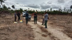 Sawit Ilegal di Hutan Produksi Belitung, KPHL Temukan Kepemilikan Oknum TNI