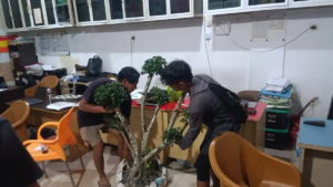 Modus Pencurian Bonsai Terungkap: Dijual Rp250 Ribu untuk Token Listrik, Pelaku Diciduk Polisi