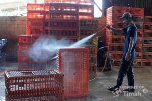 PT TIMAH Tbk Dorong UMKM Naik Kelas, Siapkan Program Penguatan Ekonomi Kerakyatan