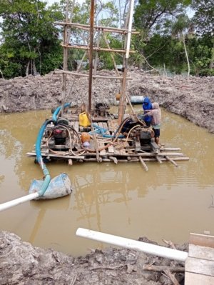 Tambang Ilegal Hantam Hutan Lindung Belinyu, Nelayan Terancam