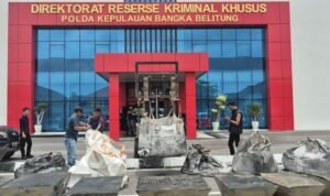 WhatsApp-Image-2026-03-03-at-13.21.10-e1772519367947