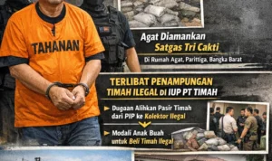 task_01kjs6qkpfe2ta0k5pzhsfmcp6_1772520003_img_0