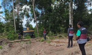 64c8a6b71dc2aaae3cdfc53960997495