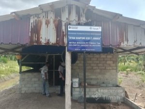 PT TIMAH Dorong Ekonomi Warga Karimun Lewat Pengembangan Peternakan Ayam Kampung