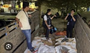 KBOBABEL.COM (PANGKALPINANG) — Penangkapan 13 ton balok timah ilegal oleh aparat Polresta Pangkalpinang semestinya menjadi momentum strategis untuk membongkar jejaring besar bisnis timah nonprosedural. Namun realitas di lapangan justru kembali memantik kecurigaan publik: perkara besar, penyelesaian kecil.