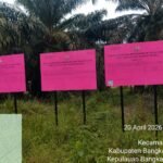 KBOBABEL.COM (BANGKA TENGAH) — Praktik panen kelapa sawit di lahan yang telah disita negara kembali mencuat dan memantik sorotan tajam publik. Perkebunan milik Thamron alias Aon yang sebelumnya disita oleh Kejaksaan Agung diduga masih terus dipanen secara leluasa tanpa hambatan berarti, Selasa (21/4/2026).