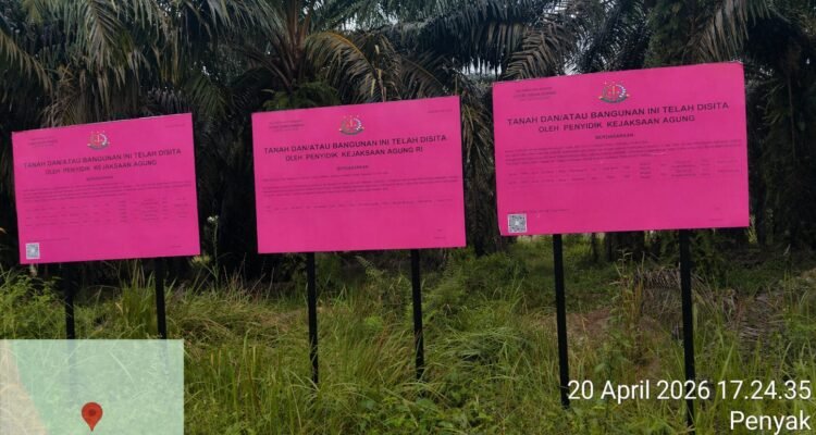 KBOBABEL.COM (BANGKA TENGAH) — Praktik panen kelapa sawit di lahan yang telah disita negara kembali mencuat dan memantik sorotan tajam publik. Perkebunan milik Thamron alias Aon yang sebelumnya disita oleh Kejaksaan Agung diduga masih terus dipanen secara leluasa tanpa hambatan berarti, Selasa (21/4/2026).