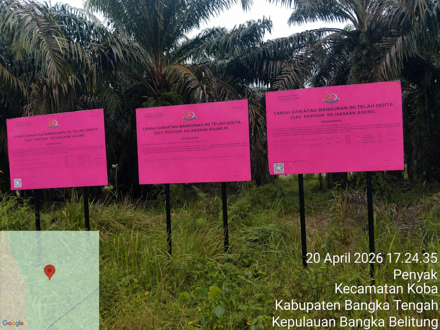 KBOBABEL.COM (BANGKA TENGAH) — Praktik panen kelapa sawit di lahan yang telah disita negara kembali mencuat dan memantik sorotan tajam publik. Perkebunan milik Thamron alias Aon yang sebelumnya disita oleh Kejaksaan Agung diduga masih terus dipanen secara leluasa tanpa hambatan berarti, Selasa (21/4/2026).