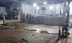 KBOBABEL.COM (BANGKA) — Aktivitas pelobian dan penampungan pasir timah yang diduga ilegal di Desa Kuday, Kecamatan Sungailiat, Kabupaten Bangka, kini memasuki babak yang lebih serius. Nama seorang kolektor, Akbar, mencuat sebagai sosok yang diduga mengendalikan operasional tersebut—yang hingga kini tetap berjalan mulus tanpa sentuhan hukum. Kamis (23/4/2026)