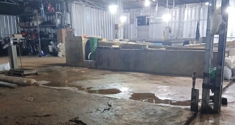 KBOBABEL.COM (BANGKA) — Aktivitas pelobian dan penampungan pasir timah yang diduga ilegal di Desa Kuday, Kecamatan Sungailiat, Kabupaten Bangka, kini memasuki babak yang lebih serius. Nama seorang kolektor, Akbar, mencuat sebagai sosok yang diduga mengendalikan operasional tersebut—yang hingga kini tetap berjalan mulus tanpa sentuhan hukum. Kamis (23/4/2026)