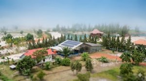 PT TIMAH Percepat Program Dekarbonisasi Demi Capai Target Net Zero Emission 2060