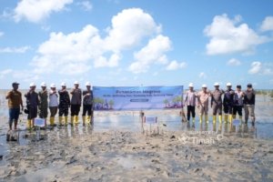 PT TIMAH dan Warga Belitung Timur Bersatu Hijaukan Pantai Mudong Lewat Penanaman Mangrove