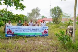 PT TIMAH Tebar Kepedulian di Iduladha, Hewan Kurban Hadir untuk Masyarakat Bangka Selatan