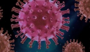 Hantavirus Diwaspadai, DPR Desak Pengawasan Ketat di Pintu Masuk Indonesia