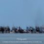 KBOBABEL.COM (PANGKALPINANG) – Polemik aktivitas tambang ponton TI Rajuk-Tower di kawasan Laut Pasir Padi kembali menjadi sorotan publik. Setelah muncul pemberitaan yang menyebut seorang warga bernama Ded sebagai koordinator aktivitas penambangan di area yang disebut berada di luar IUP PT Timah Tbk, bantahan keras langsung disampaikan pihak yang dituding. Sabtu (23/5/2026)