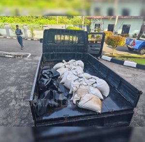 Jejak Gelap Timah Ilegal di Baturusa Terbongkar, TNI AL Sita 1 Ton, Pelaku Kabur