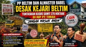 PP Beltim dan Almaster Babel Desak Kejari Tuntaskan Kasus Sawit 270 Hektare di IUP PT Timah, “Jangan Masuk Angin”