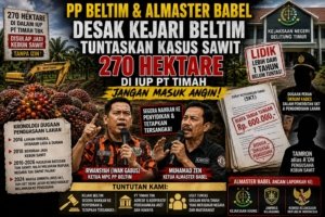 Kasus Sawit 270 Hektare Mandek, PP Beltim dan Almaster Babel Ancam Lapor Kejari Beltim ke Kejagung dan Komjak