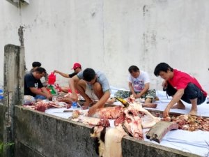 PJS Babel Sembelih Sapi Qurban Bantuan PT Timah, Wujud Kepedulian untuk Insan Pers