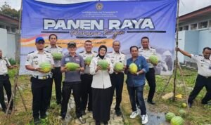 20260608_161827 KBOBABEL.COM (PANGKALPINANG) – Di tengah berbagai keterbatasan sarana dan prasarana, Lembaga Pemasyarakatan (Lapas) Kelas IIA Pangkalpinang kembali membuktikan bahwa pembinaan yang terarah mampu menghasilkan karya nyata dan bernilai ekonomi. Melalui program ketahanan pangan yang terus dikembangkan, Lapas Pangkalpinang berhasil memanen sebanyak 231 kilogram semangka dari lahan produktif seluas 160 meter persegi, Senin (8/6/2026).