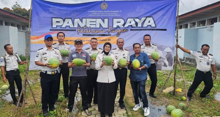 KBOBABEL.COM (PANGKALPINANG) – Di tengah berbagai keterbatasan sarana dan prasarana, Lembaga Pemasyarakatan (Lapas) Kelas IIA Pangkalpinang kembali membuktikan bahwa pembinaan yang terarah mampu menghasilkan karya nyata dan bernilai ekonomi. Melalui program ketahanan pangan yang terus dikembangkan, Lapas Pangkalpinang berhasil memanen sebanyak 231 kilogram semangka dari lahan produktif seluas 160 meter persegi, Senin (8/6/2026).