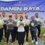 KBOBABEL.COM (PANGKALPINANG) – Di tengah berbagai keterbatasan sarana dan prasarana, Lembaga Pemasyarakatan (Lapas) Kelas IIA Pangkalpinang kembali membuktikan bahwa pembinaan yang terarah mampu menghasilkan karya nyata dan bernilai ekonomi. Melalui program ketahanan pangan yang terus dikembangkan, Lapas Pangkalpinang berhasil memanen sebanyak 231 kilogram semangka dari lahan produktif seluas 160 meter persegi, Senin (8/6/2026).