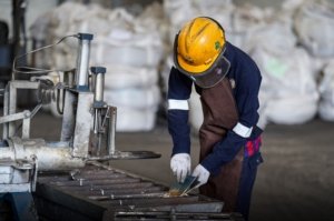 MSP Fokuskan Program 2026 pada Magang Kerja, PPM, dan Rehabilitasi Lingkungan