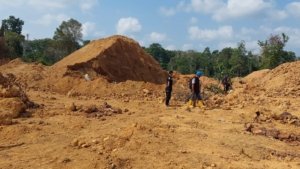 Heboh! Tambang Timah Beroperasi di Samping Kantor BPS Basel, Tim Gabungan Langsung Turun Tangan